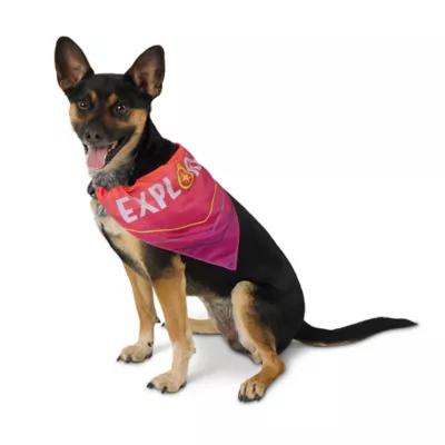 Product Arcadia Trail® Cooling Reflective Dog Bandana