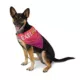 Product Arcadia Trail® Cooling Reflective Dog Bandana