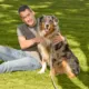 Product Arcadia Trail® Grey Reflective Multi-Use Rope Leash, 15 ft
