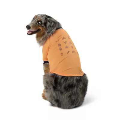 Product Arcadia Trail® Icons High Visibility Dog Shirt