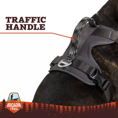 Product Arcadia Trail® Quick Dry Dog Harness