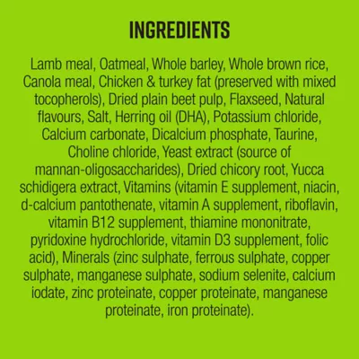 Product Lifetime Digestive Support All Stages Dry Dog Food -  Lamb