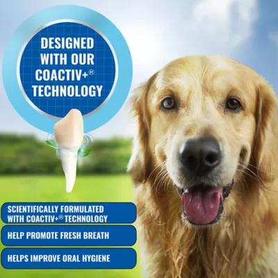 Product bluestem® Veggie Dental Chews for Dogs - Medium Breed, 30 count