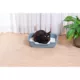Product Moderna Low Entry Kitten/Senior Cat Pan