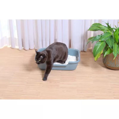Product Moderna Low Entry Kitten/Senior Cat Pan