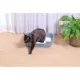 Product Moderna Low Entry Kitten/Senior Cat Pan