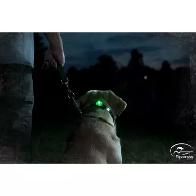 Product SportDOG® Locator Beacon