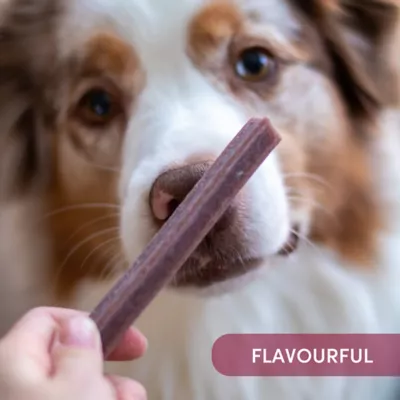 Product Animora Cranberry Dental Sticks - Large