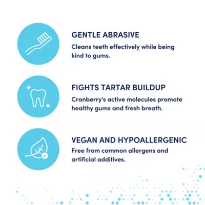 Product Animora Cranberry Dental Sticks - Large