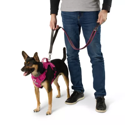 Product Arcadia Trail® Light-Up LED Dog Leash