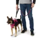 Product Arcadia Trail® Light-Up LED Dog Leash