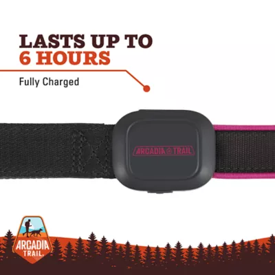 Product Arcadia Trail® Light-Up LED Dog Leash