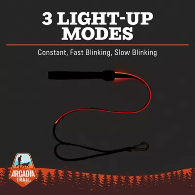 Product Arcadia Trail® Light-Up LED Dog Leash