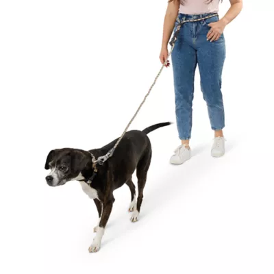 Product Arcadia Trail® Hands-Free Dog Leash