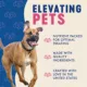 Product Finley's Training Treats 5 OZ