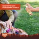 Product Arcadia Trail® Mosquito, Flea & Tick Shampoo & Spray