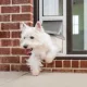 Product PetSafe® Extreme Weather Sliding Glass Pet Door