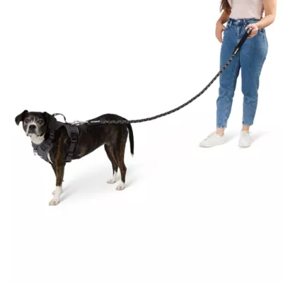 Product Arcadia Trail® Paracord Rope Dog Leash