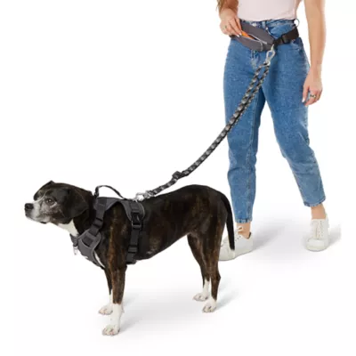 Product Arcadia Trail® Hands-Free Running Dog Leash