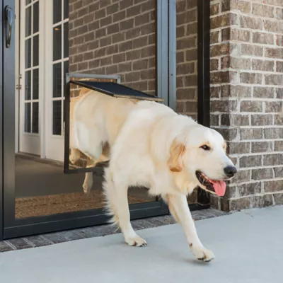 Product PetSafe® Pet Screen Door