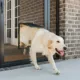 Product PetSafe® Pet Screen Door
