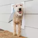 Product PetSafe® Pet Door Wall Extension Tunnel