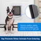 Product PetSafe® SmartDoor Installation Adaptor