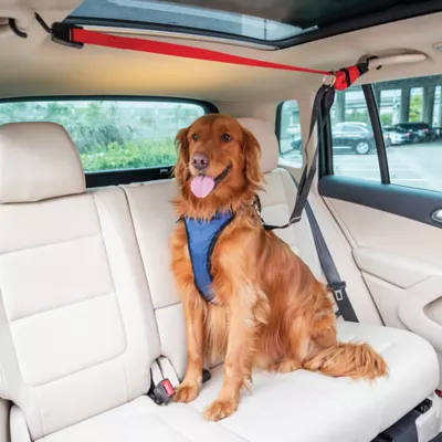 Product PetSafe® Happy Ride Dog Zipline