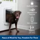 Product PetSafe® SmartDoor Tunnel Extensions - Large