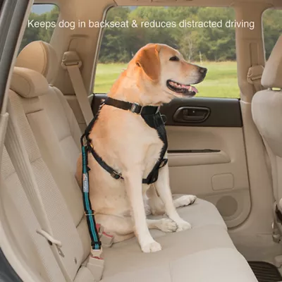 Product Kurgo® Direct to Seatbelt Tether - 15-22 inches Blue & Black