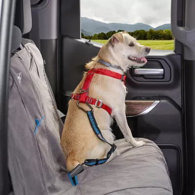 Product Kurgo® Direct to Seatbelt Tether - 15-22 inches Blue & Black