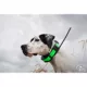 Product SportDOG® Brand TEK Series 1.5 GPS Tracking + E-Collar