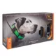 Product SportDOG® Brand TEK Series 1.5 GPS Tracking + E-Collar