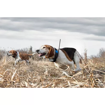 Product SportDOG® TEK-2AD Add-A-Dog Tracking and Training Collar