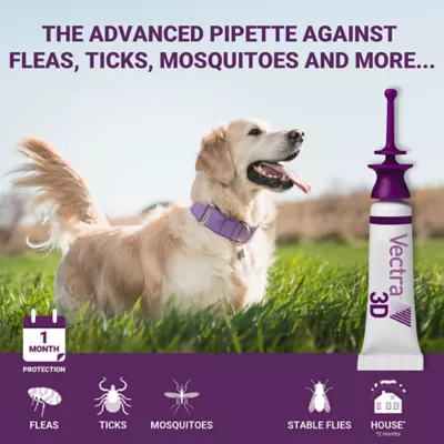 Product VECTRA 3D Flea and Tick Treatment for Dogs and Puppies - Large Dog - 9.1-25 kg
