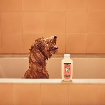 Product Mrs. Meyer's Clean Day 3 in 1 Dog Shampoo - White Peach, 14 oz