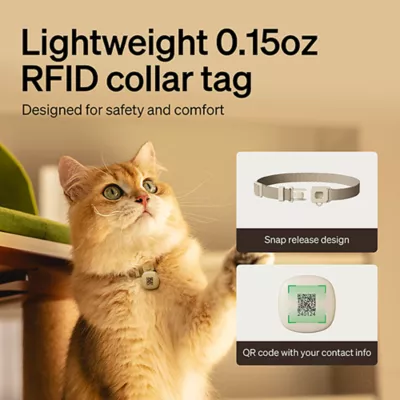 Product PETLIBRO RFID Automatic WIFI App Controlled Pet Feeder, 3L