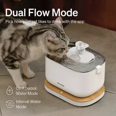 Product PETLIBRO Dockstream App Monitoring Water Fountain