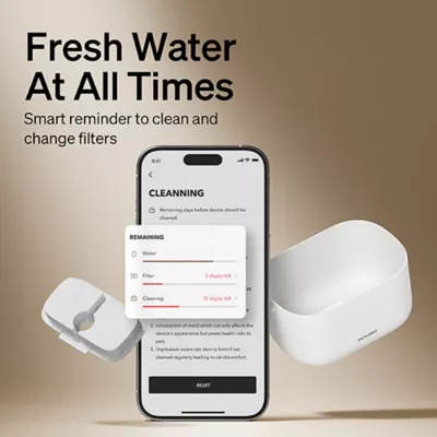Product PETLIBRO Dockstream App Monitoring Water Fountain