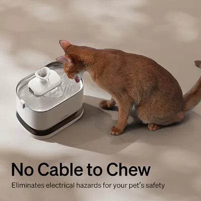 Product PETLIBRO Dockstream Battery-Operated Water Fountain