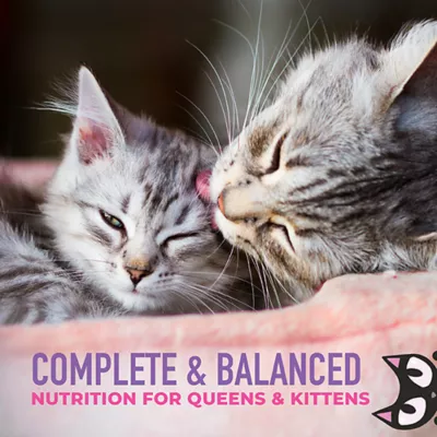 Product Tiki Cat - Baby Weaning Puree, Chicken & Chicken Liver in Broth, 6 OZ