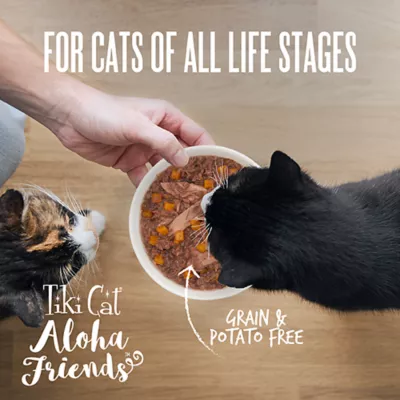 Product Tiki Cat - Adult, Wet Food, Aloha Friends, Variety Pack, 36 CT, 108 OZ