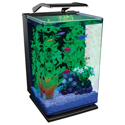 Product Glofish Aquarium Kit 5 Gal