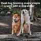 Product PetSafe® Add-A-Dog Reciever Collar Lite