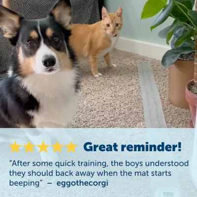 Product PetSafe® ScatMat Indoor Pet Training Mat