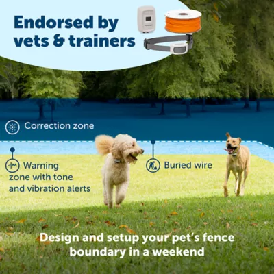 Product PetSafe® Classic In-Ground Fence 2 Dog Systems