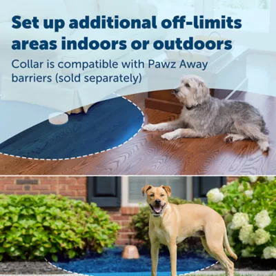 Product PetSafe® Classic In-Ground Fence 2 Dog Systems