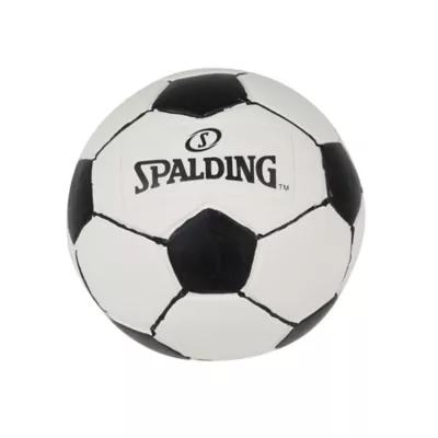 Product Spalding Basketball and Soccer Dog Toy Set