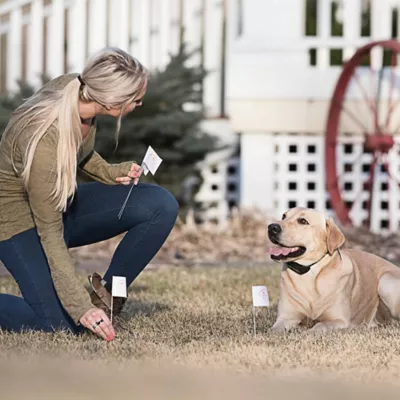 Product SportDOG® Brand Wire & Flag Kit