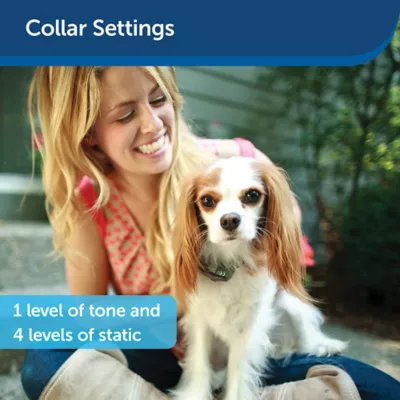 Product PetSafe® Elite Little Dog In-Ground Fence Receiver Collar